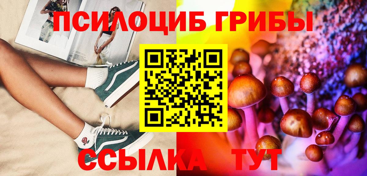 Псилоцибиновые грибы Psilocybe Чистополь